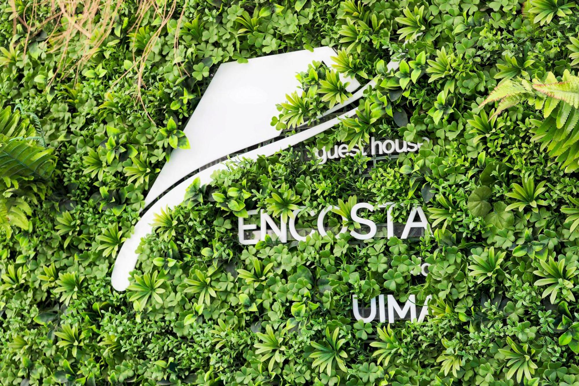 Encosta do Uíma - Guest House Caldas de Sao Jorge Exteriér fotografie